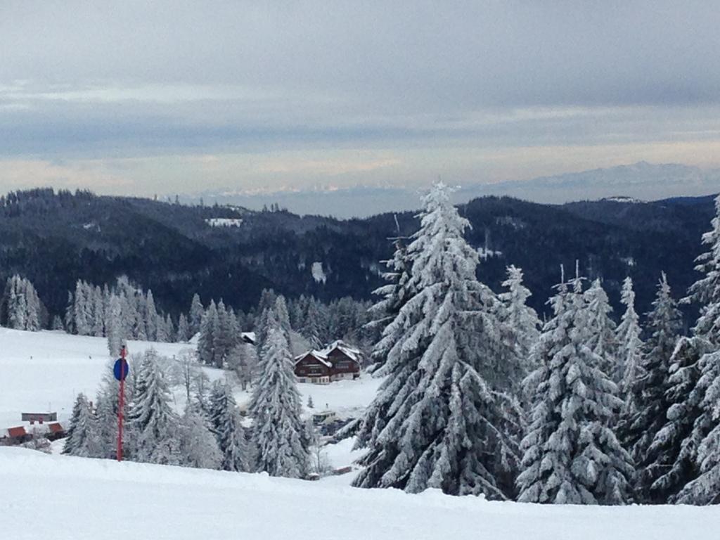 Hotel Pop-Up Stuub Feldberg Feldberg  Exteriér fotografie